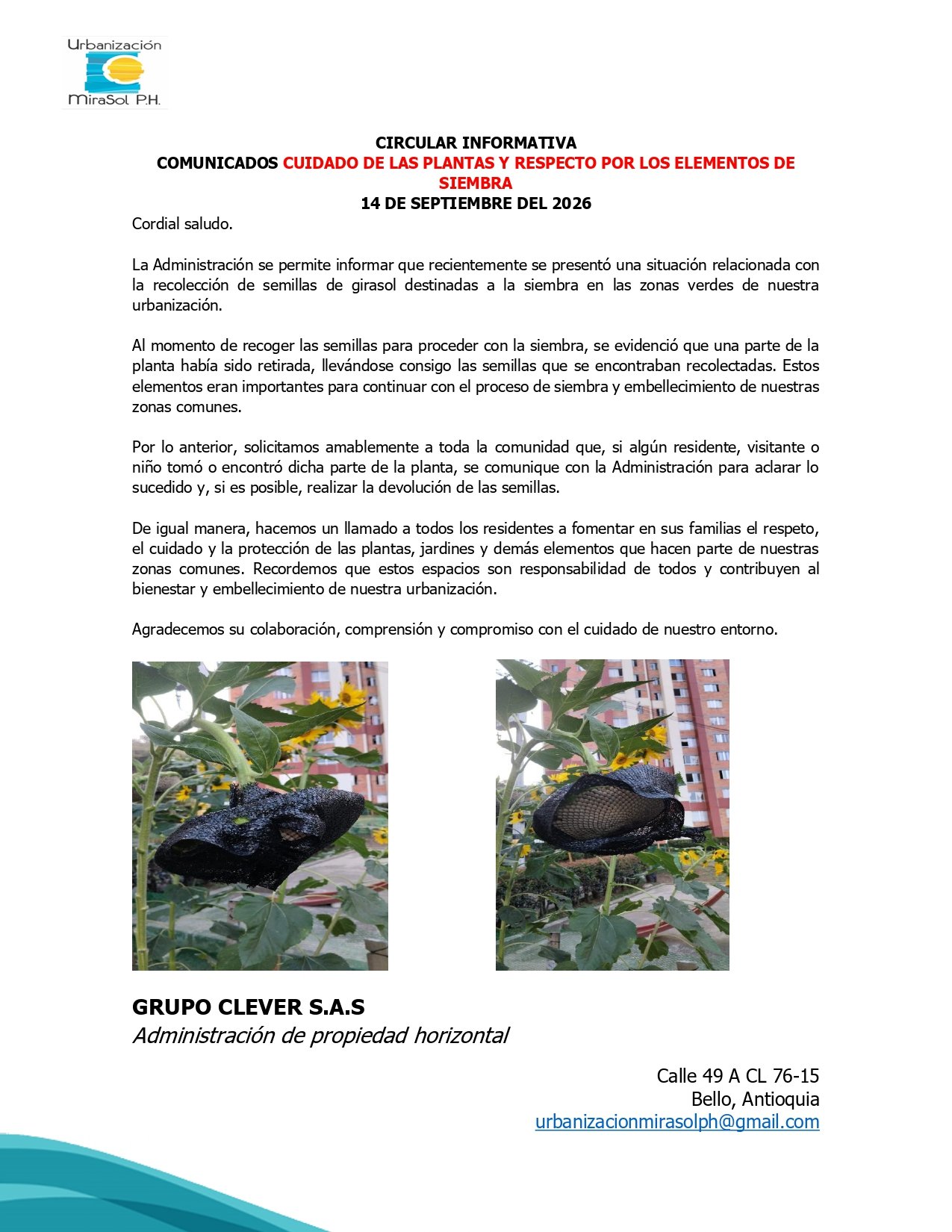CIRCULAR INFORMATIVA - CUIDADO DE LAS PLANTAS Y RESPECTO POR LOS ELEMENTOS DE SIEMBRA